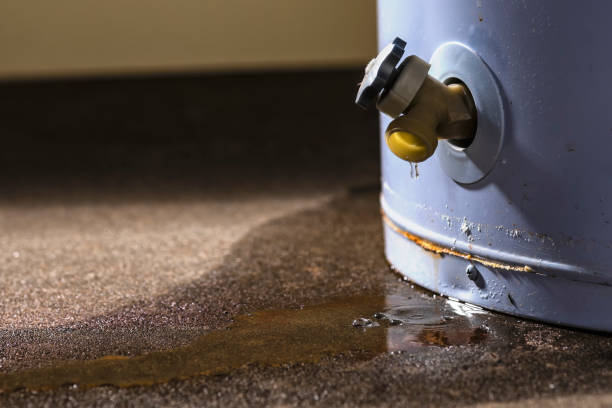 Best Flood restoration services  in Netcong, NJ