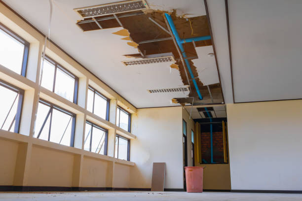 Best Commercial water damage restoration  in Netcong, NJ