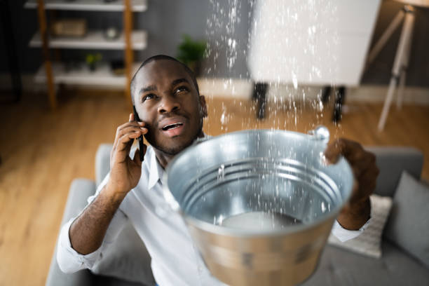 Best Water damage restoration near me  in Netcong, NJ