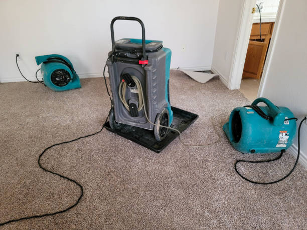 Best 24/7 water damage repair  in Netcong, NJ