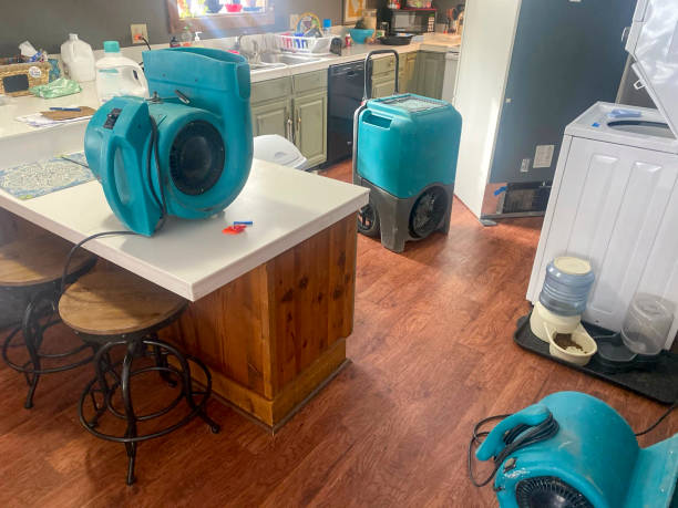 Best Professional water damage repair  in Netcong, NJ