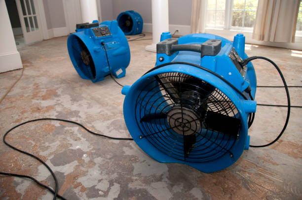 Best Flood restoration services  in Netcong, NJ