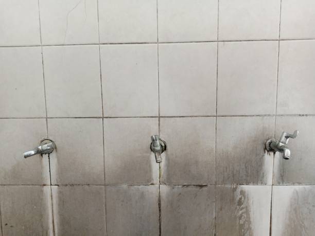Best Flooded house restoration  in Netcong, NJ