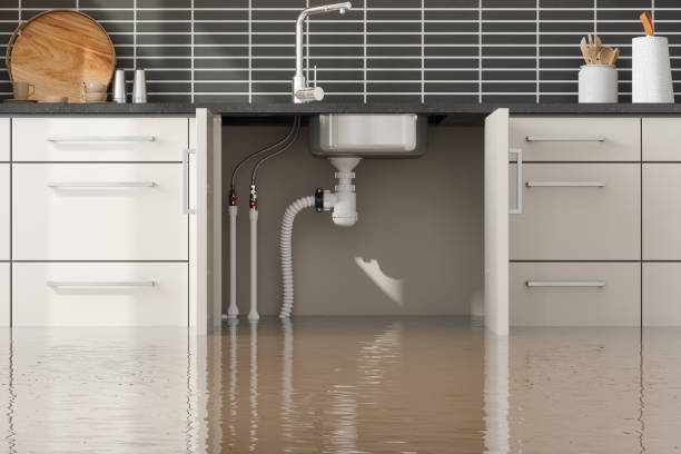 Best Water damage repair service  in Netcong, NJ