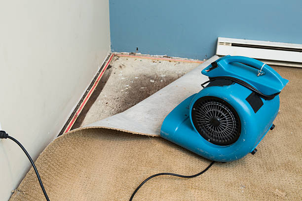 Best 24/7 water damage repair  in Netcong, NJ